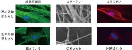 近赤外線の肌への影響